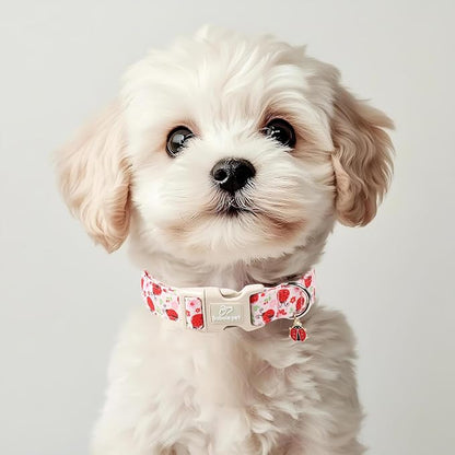 Lucky Ladybug Dog Collar for Small Dogs - Image 5