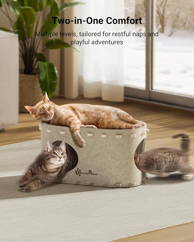 DownyPaws Cat House for Indoor Cats, Cat Bed Cave for Multiple & Large Cats Up - Image 2
