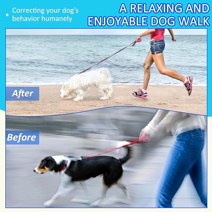 Stainless Steel Dog Collar, Tangle-Free 360° Swivel Collar - Image 7