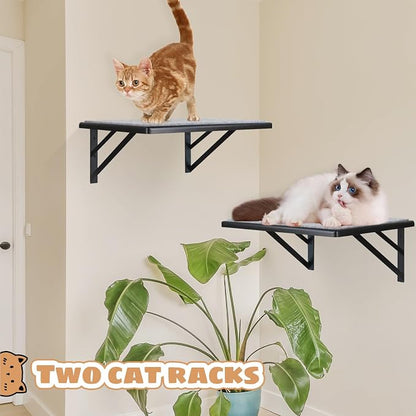 Cat Wall Shelves Set of 2, Wood Cat Shelves - Image 3