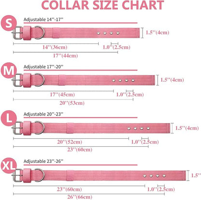 Heavy Duty Tactical Dog Collar - Image 5