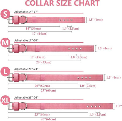 Heavy Duty Tactical Dog Collar - Image 5
