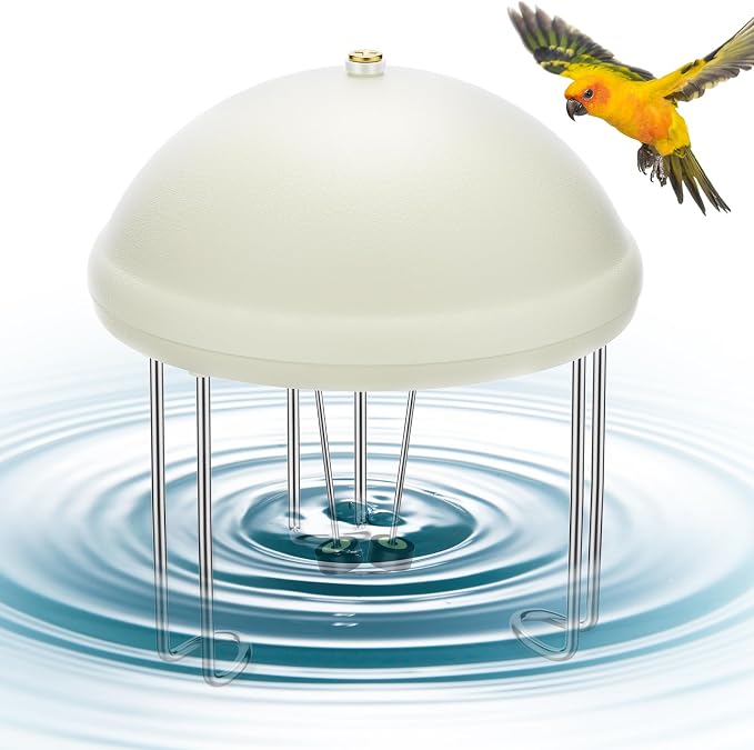 Buzzlett Bird Bath Water Circulator, Water Agitator by BUZZLETT