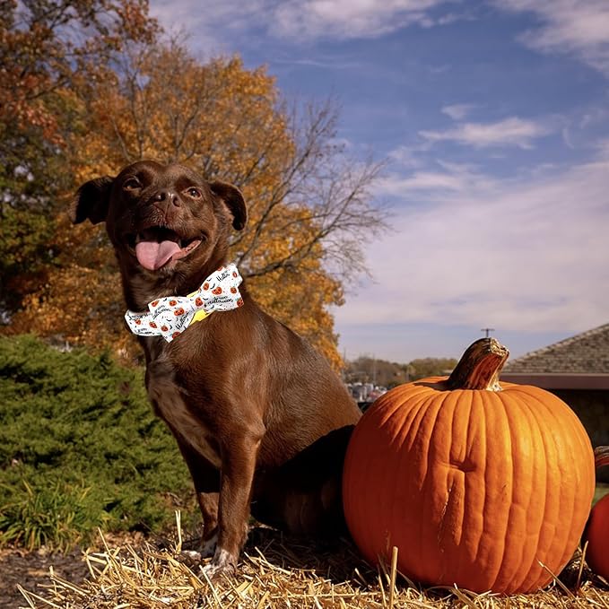 Halloween Dog Collar, Pet Collar Bow Pumpkin Pet Collar Girl Boy Bow Dog - Image 6