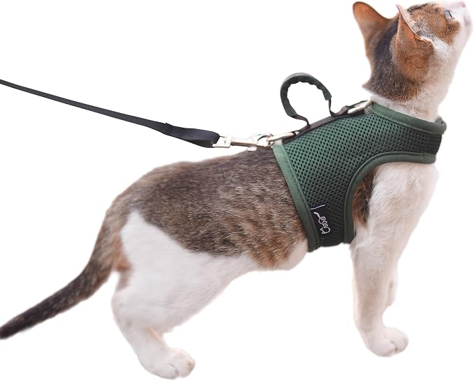 Kitty Harness and Leash for Walking Escape Proof Breathable Mesh Fabric by Yizhi+Miaow