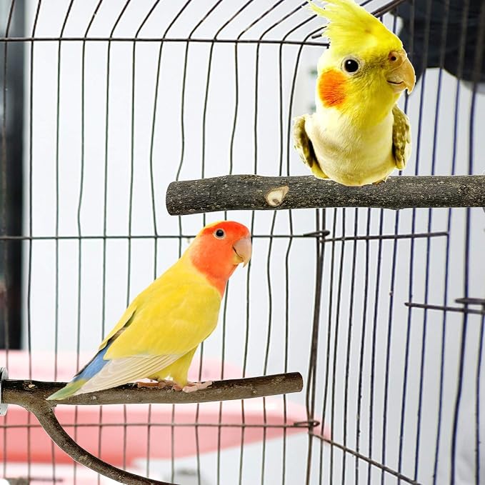 EBaokuup Bird Parrot Perch Set - Image 7
