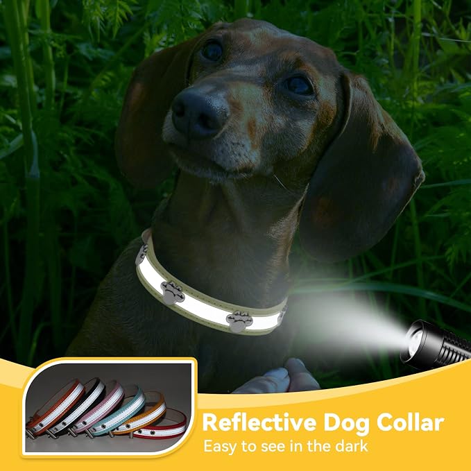 PETCARE Reflective Dog Collar - Image 5