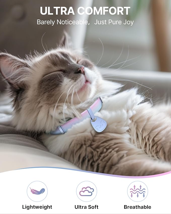 Cat Collar with QR Code Name Tag, Breakaway Kitten Collar - Image 4
