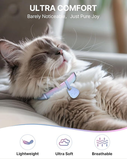 Cat Collar with QR Code Name Tag, Breakaway Kitten Collar - Image 4