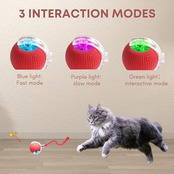 Rocfish Durable Interactive Cat Toys - Image 4