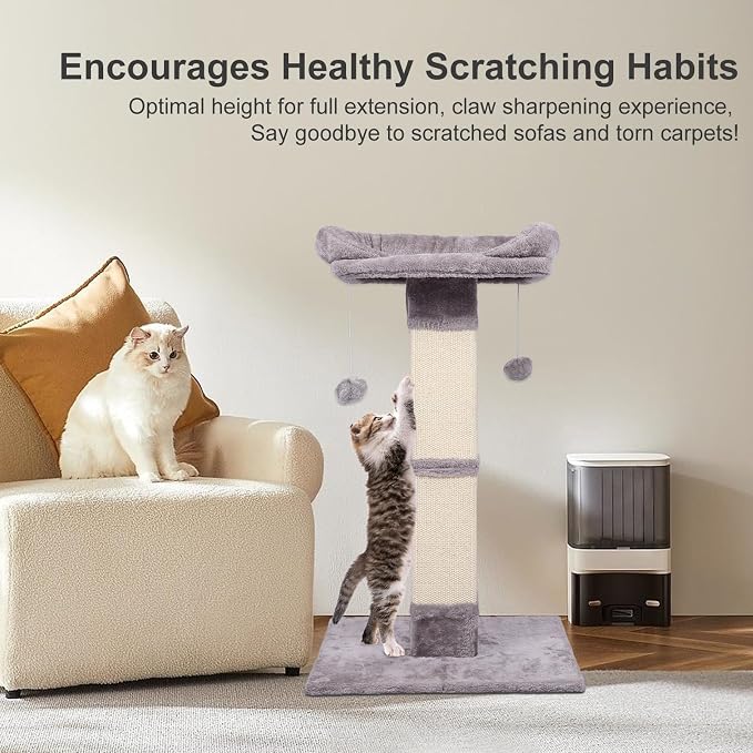 34" Tall Cat Scratching Post - Image 5