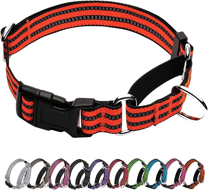 Martingale Dog Collar, Adjustable Nylon Reflective Collar by JOYEEIIOO