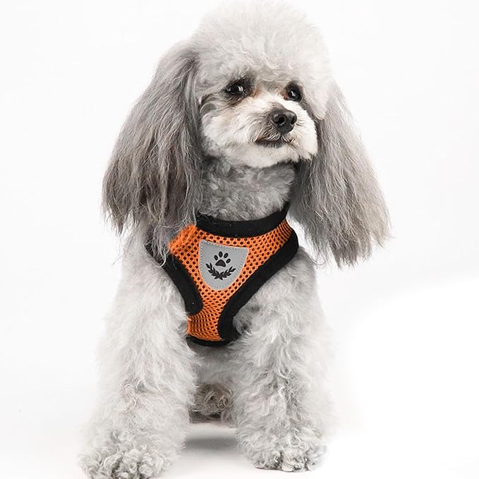 shudyear Summer cat Chest Harness and Leash, Anti-Escape Adjustable Soft mesh - Image 6