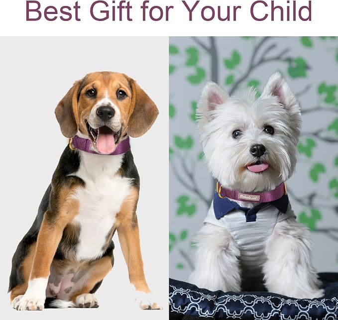 Nylon Dog Collar - Image 3