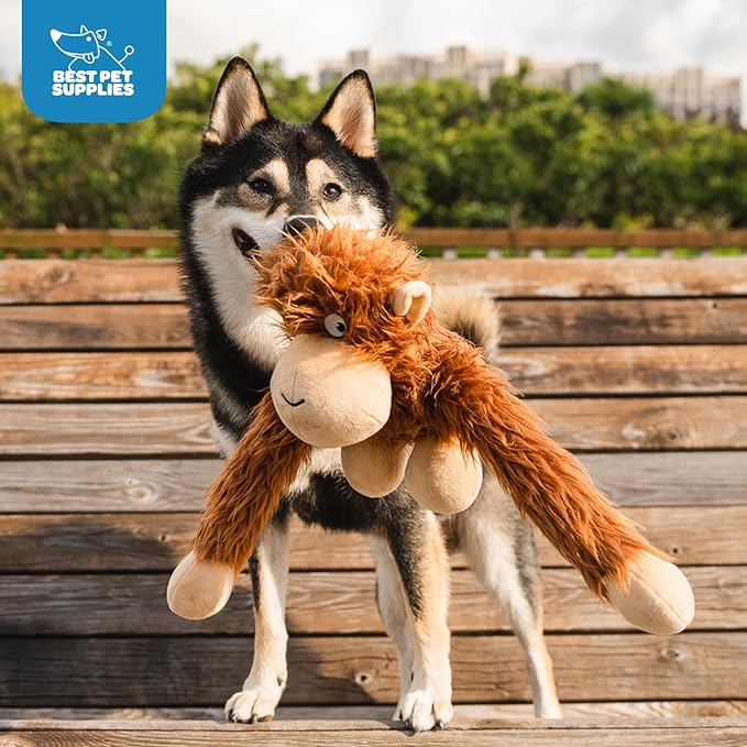 Best Pet Supplies Interactive Squeaky Dog Chew Toy, Ideal Dog Toys - Image 5