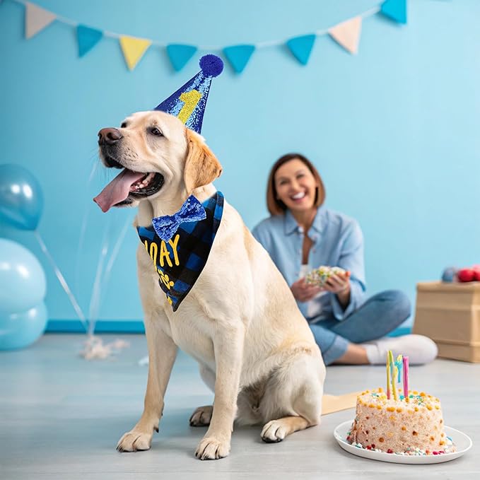 EXPAWLORER Dog Birthday Party Supplies - Image 8