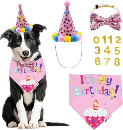 ADOGGYGO Dog Birthday Bandana Scarf and Dog Girl Birthday Party Hat by ADOGGYGO