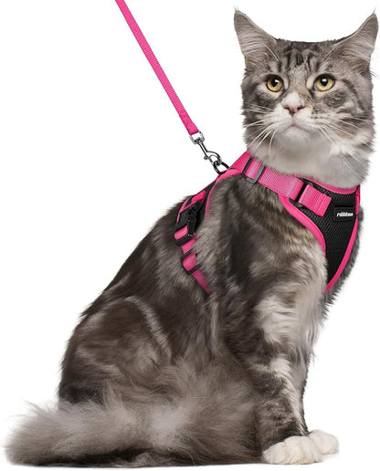 rabbitgoo Cat Harness and Leash Set, Escape Proof Soft Adjustable Vest Harnesses by rabbitgoo