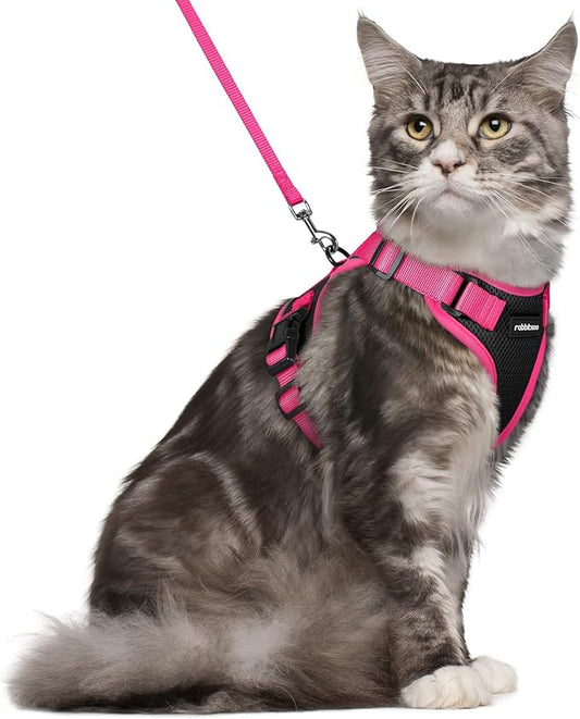 rabbitgoo Cat Harness and Leash Set, Escape Proof Soft Adjustable Vest Harnesses by rabbitgoo