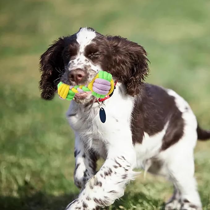 Candy Colored Rope Woven Toy, Durable Dumbbell Design Pet Teeth Grinding Mouth - Image 6