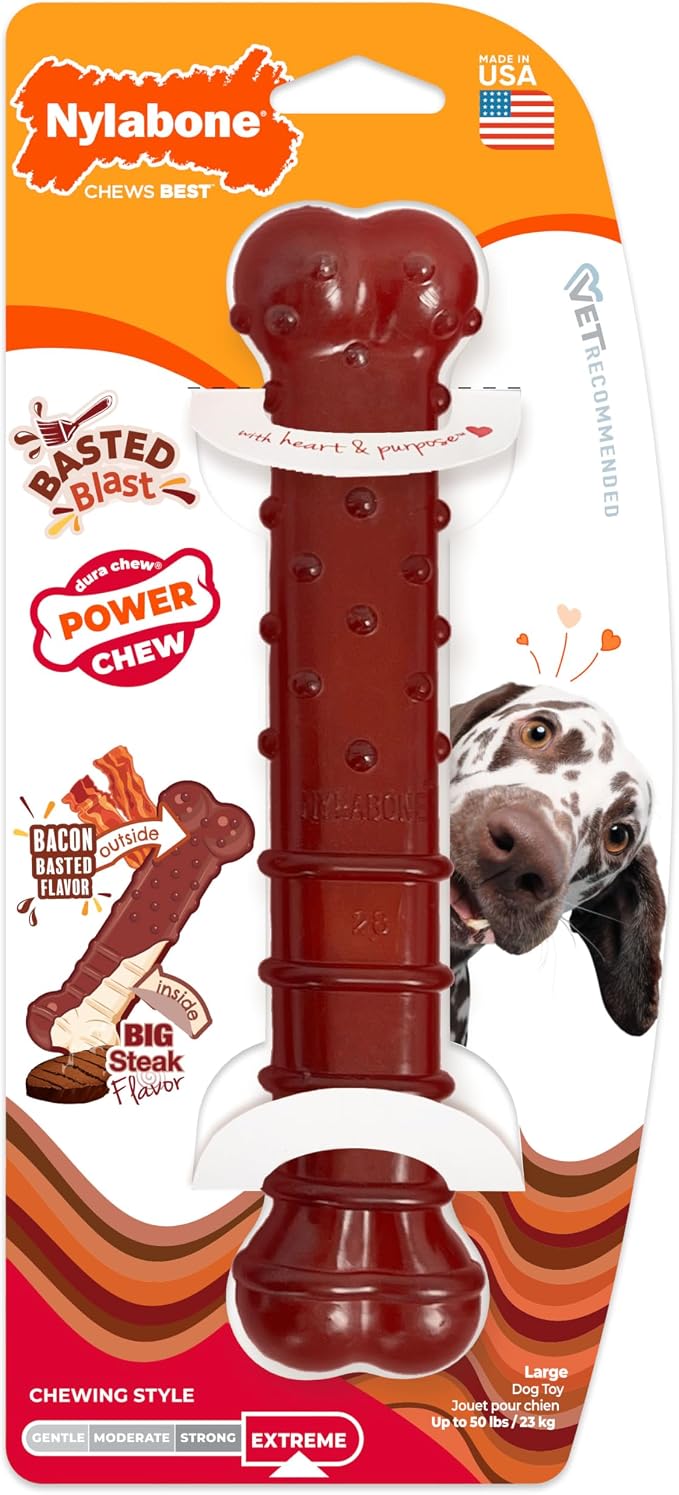 Nylabone Textured Bone Power Chew Toy - Image 12