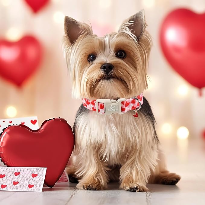 Valentines Dog Collar for Large Dogs - Image 2