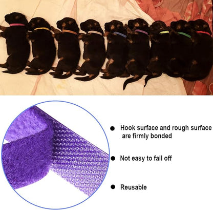 30 Pcs Puppy ID Collar Whelping Newborn Pet Collars Double-Sided Soft - Image 4