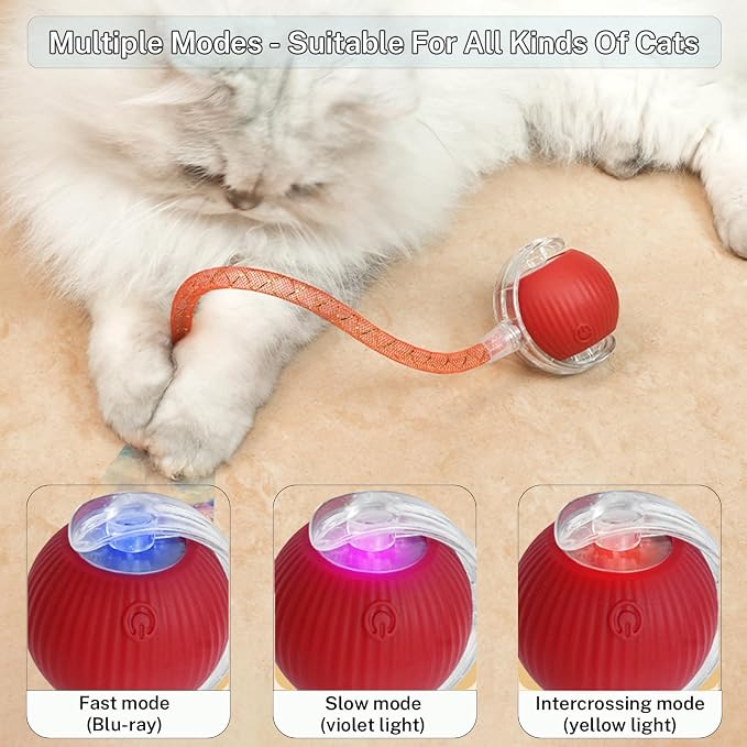 New Upgraded Cat Ball Toy - Image 3