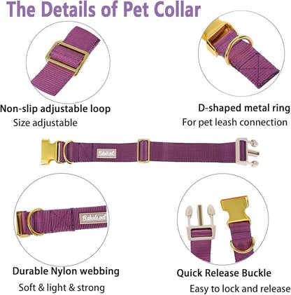Nylon Dog Collar - Image 4