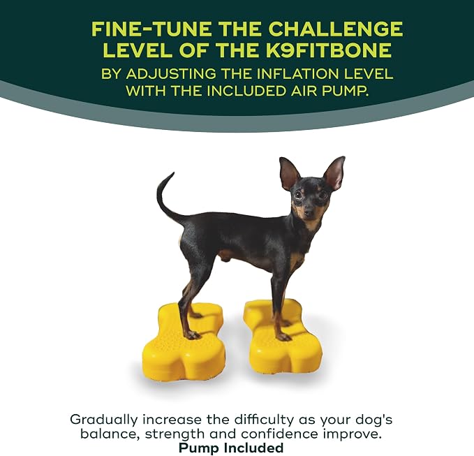 Mini K9fitbone Balance Training Platform - Image 5