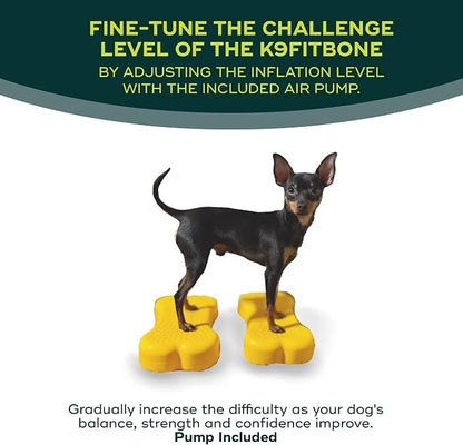 Mini K9fitbone Balance Training Platform - Image 5
