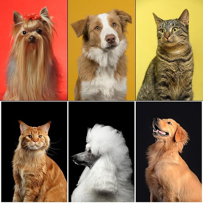 Complete Pet Grooming Solution by Dog - Image 9