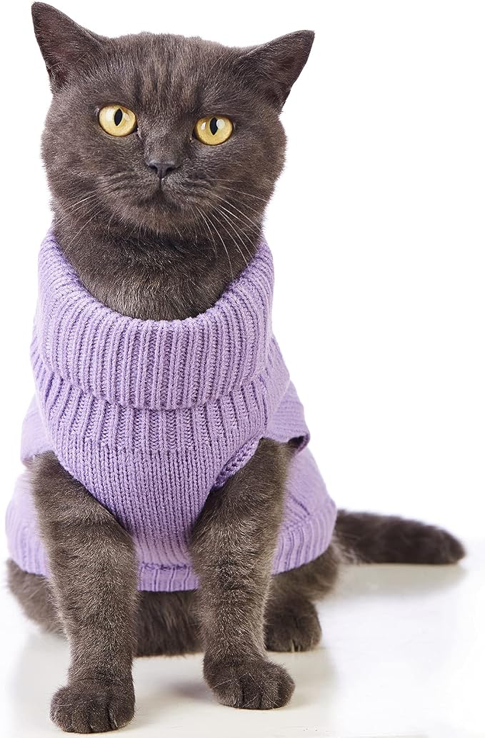 Stretchy Cat Sweater - Image 3
