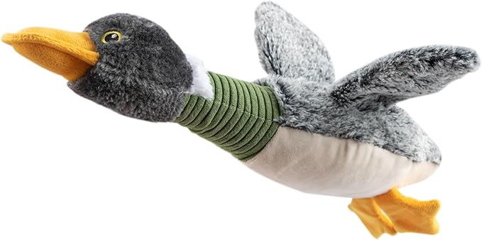 Best Pet Supplies Interactive Squeaky Dog Chew Toy, Ideal Dog Toys by BestPetSuppliesLLC