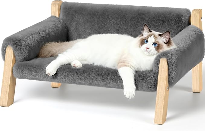 Elevated Cat Couch Bed for Indoor Cats by FAMIDGE
