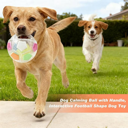 Dog Calming Ball with Handle, Interactive Ball - Image 2