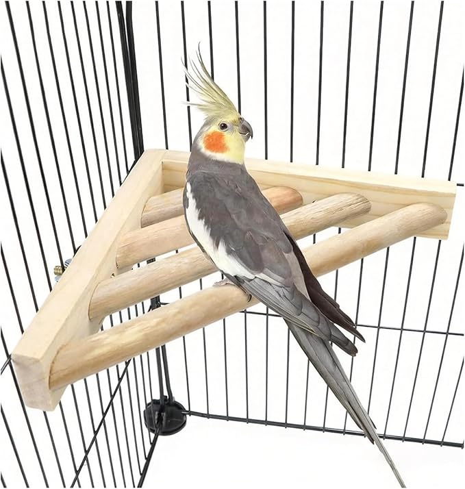 Litewoo Bird Perch Corner Platform Stand Shelf by Litewoo