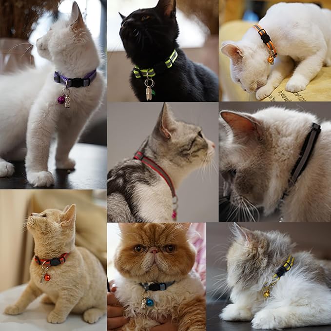 14 Pack Set Kitten Collars Breakaway - Image 10