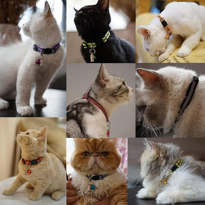14 Pack Set Kitten Collars Breakaway - Image 10