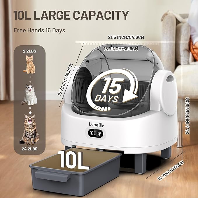 Automatic Cat Litter Box, Electric Large Open-Top Self Cleaning Litter Box - Image 7