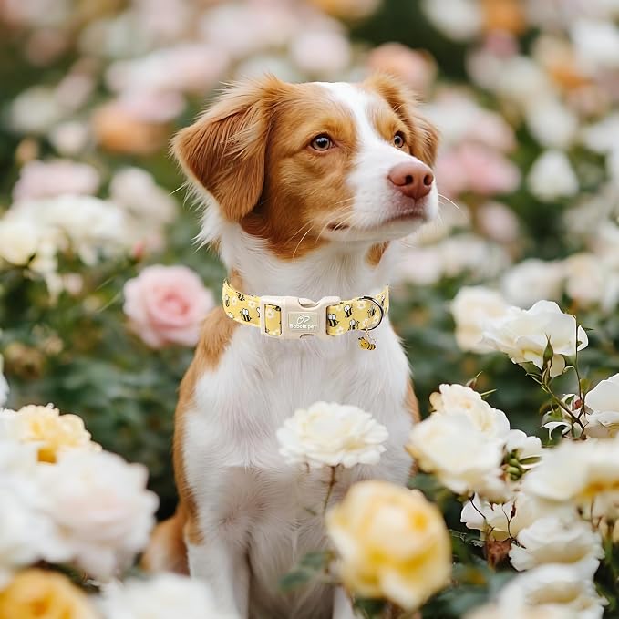 Bee & Daisy Dog Collar for Puppy Small Dogs - Image 2