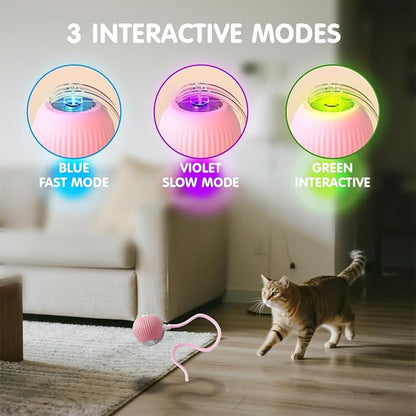 Rocfish Durable Interactive Cat Toys - Image 4