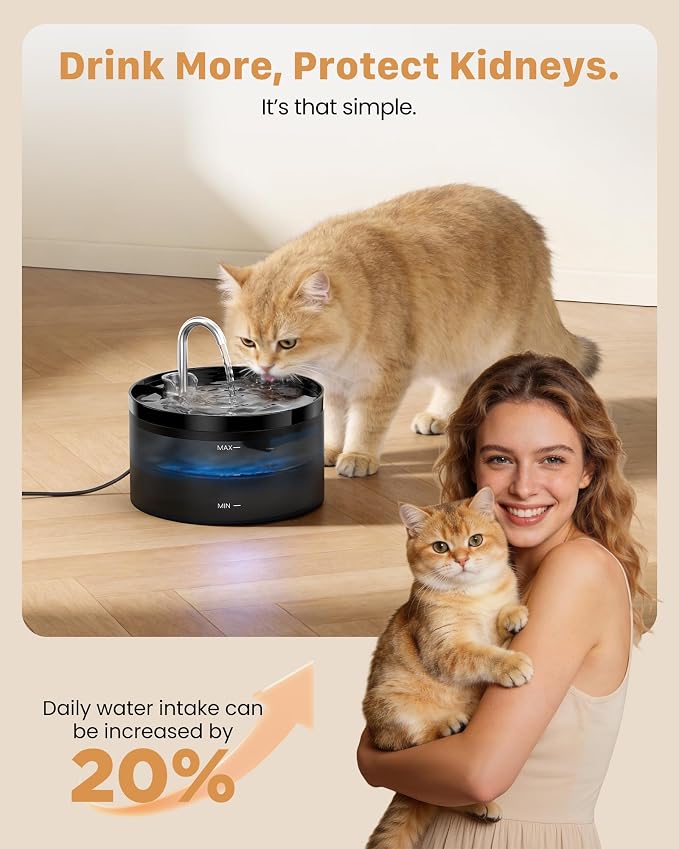 Cat Water Fountain Pet Fountain: 67oz/2L Cat Water Dispenser - Image 6