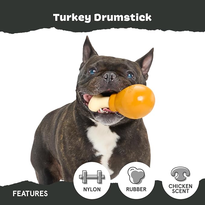 Barkbox Super Chewer Tough Dog Chew Toys - Image 4
