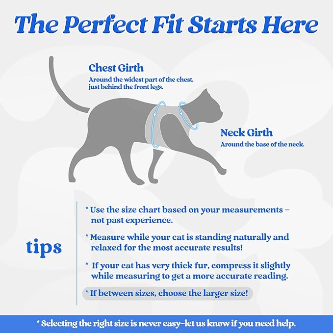 rabbitgoo Cat Harness and Leash Set - Image 2