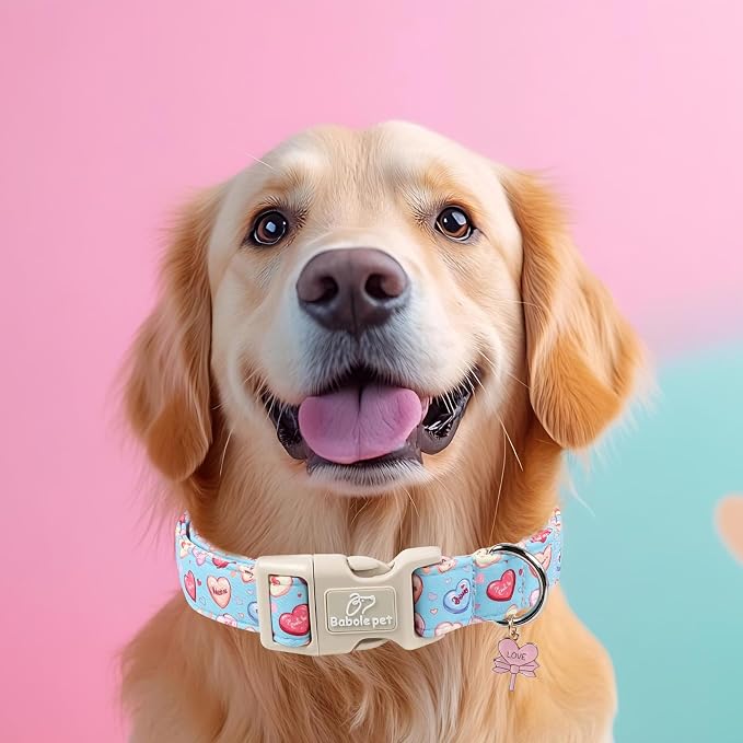 Valentines Dog Collar for Small Dogs - Image 5