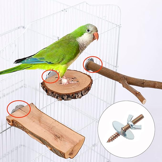 12 Sets Bird Cage Screws Bird Perch Stand Platform Accessories 24 Washers 12 - Image 6
