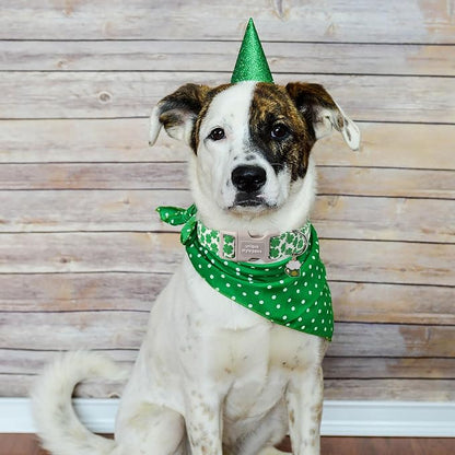 Unique style paws St. Patrick's Dog Collar Plastic Buckle Puppy Collar - Image 4