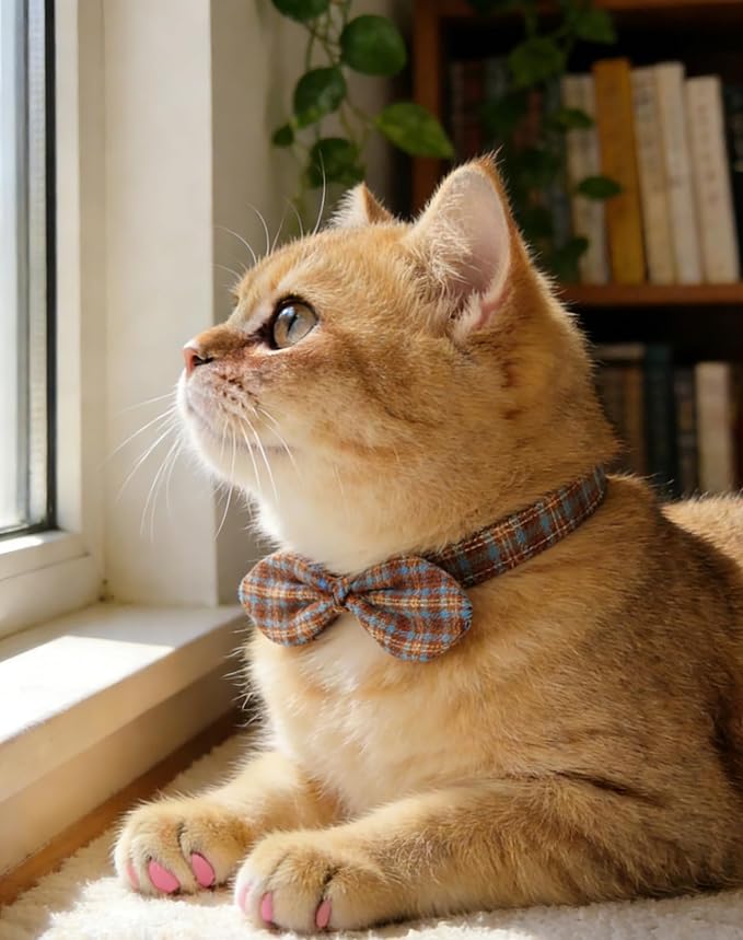 Cotton Bowtie Cat Collar with Bell 2 Pack Plaid Breakaway Kitten Collars with - Image 4
