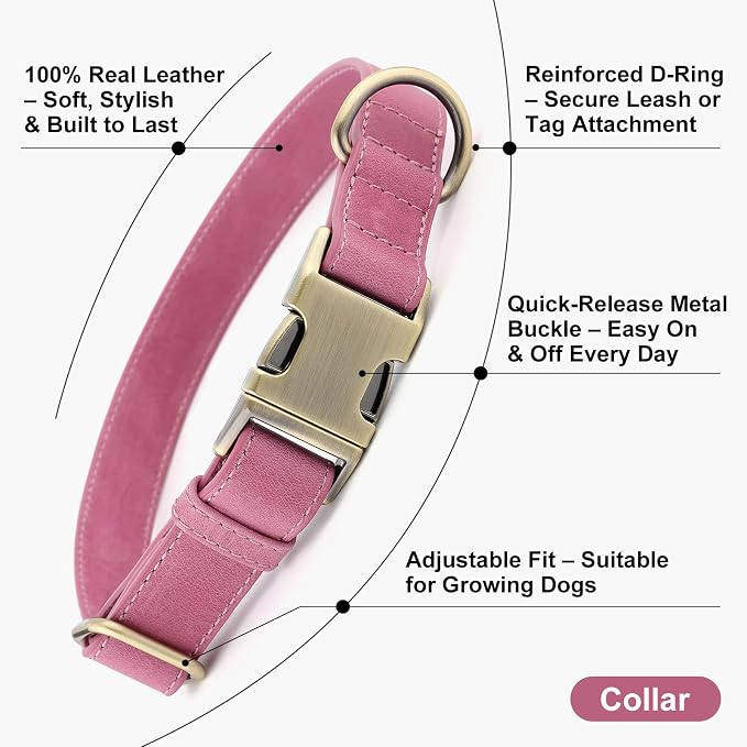 Plutus Pet Genuine Leather Dog Collar – Adjustable Pet Collar - Image 2